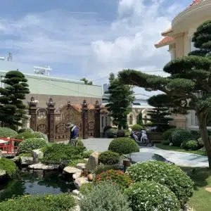 Hồ cá koi 11-Liên hệ: 0973.928.564