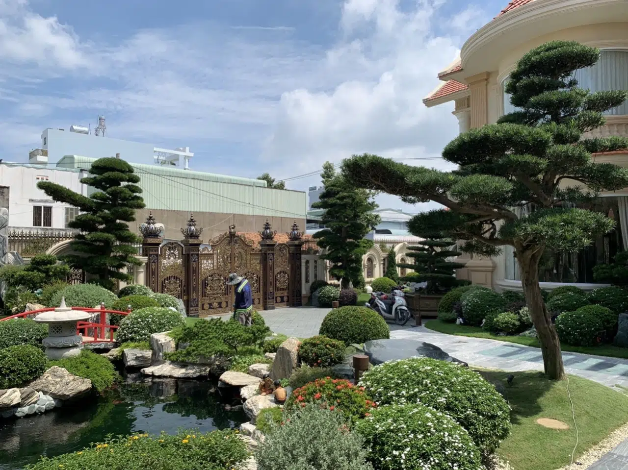 Những Lưu Ý Quan Trọng Khi Thiết Kế Thi Công Hồ Cá Koi Ngoài Trời