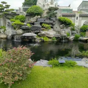 Những Lưu Ý Để Xây Được Một Hồ Cá Koi Tại Gia Đẹp