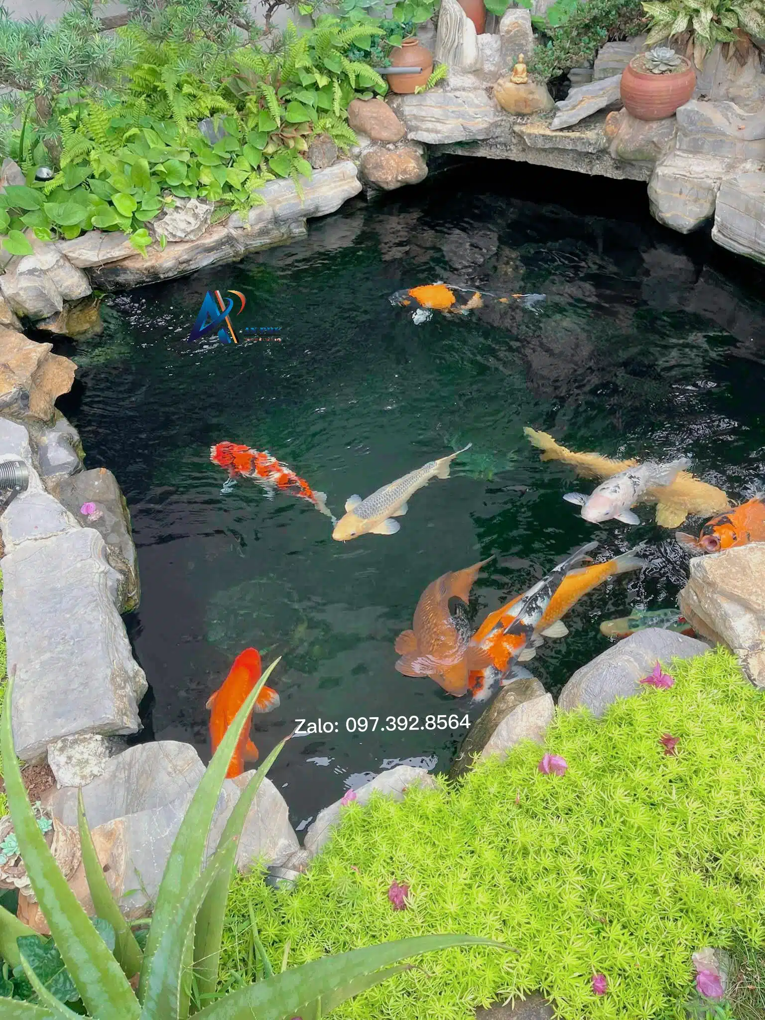Dự Án Sân Vườn Hồ Koi – Từ Sơn Bắc Ninh